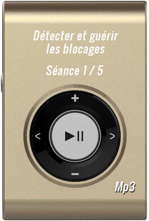 Détecter et guérir les blocages séance 1